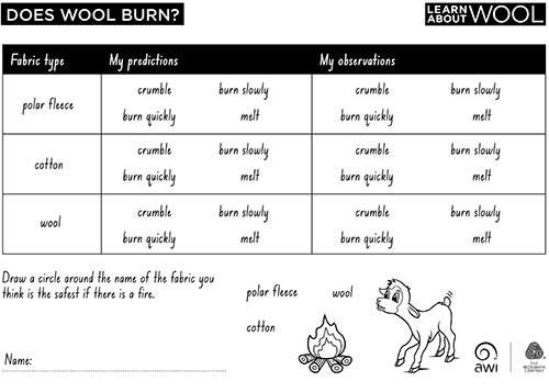 Does wool burn? worksheet