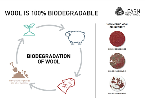 Wool is 100% biodegradable