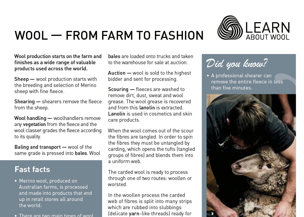 Wool — from farm to fashion