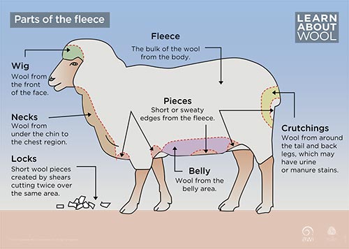 Parts of the fleece