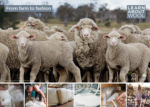 From farm to fashion
