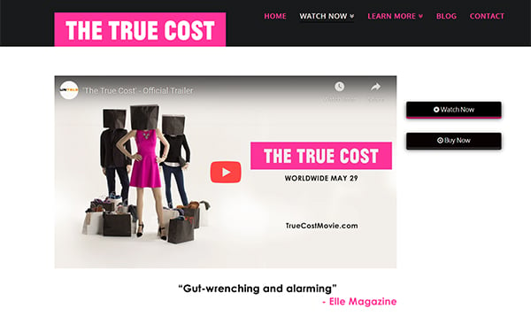 The true cost movie and website