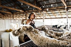 Merriman-Shearing-School.jpg