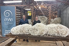 wool-harvesting-resources-hub.jpg