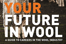 Your-Future-in-Wool3.jpg