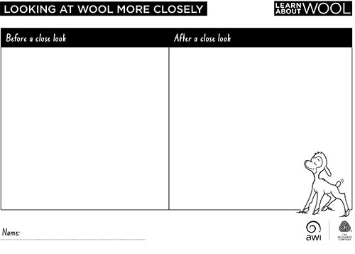 Looking at wool more closely worksheet (F)