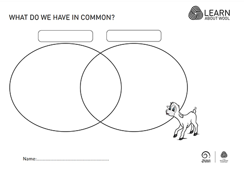 Handout - What do we have in common?