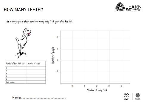 Handout - How many teeth?