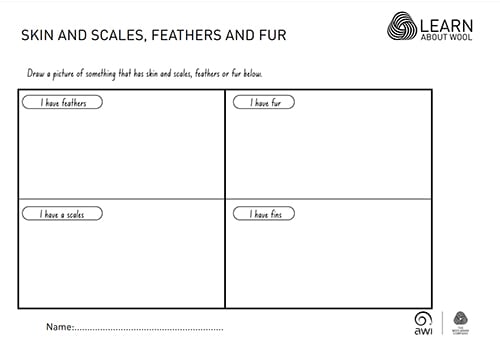 Handout - Skin and scales, feathers and fur