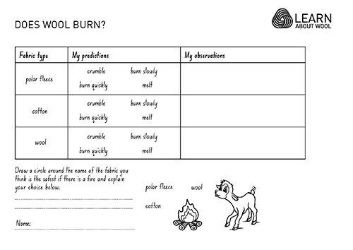 Does wool burn? worksheet (Y4)