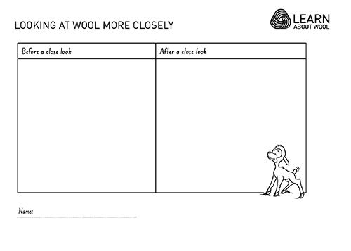 Looking at wool more closely worksheet (Y4)