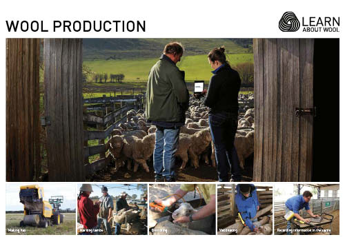 Wool production