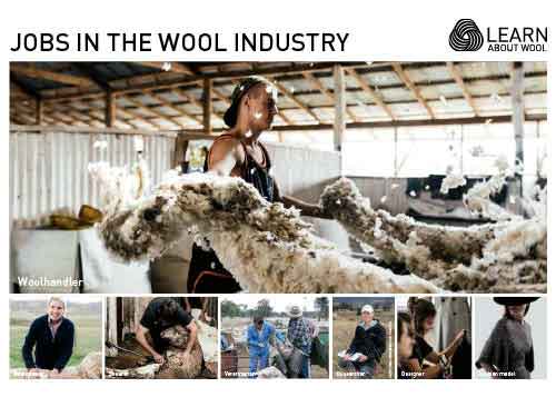 Jobs in the wool industry