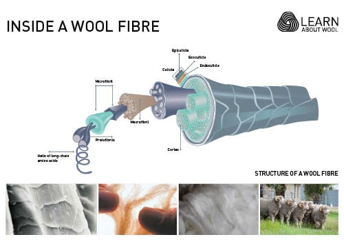 Inside a wool fibre