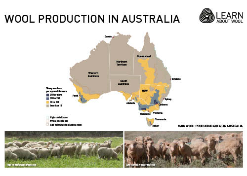 Wool production in Australia
