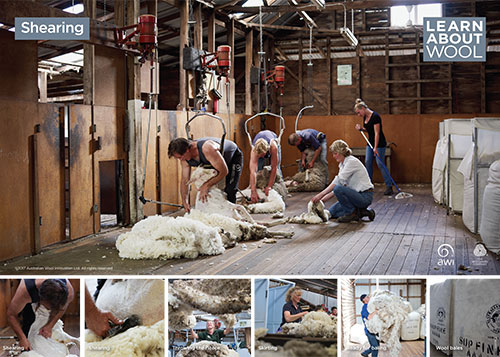 Shearing