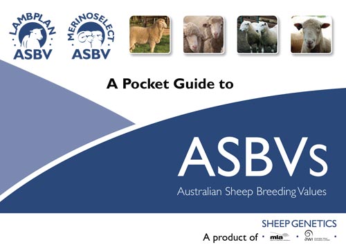 A pocket guide to ASBVs