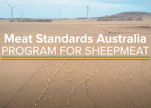 Meat Standards Australia for sheepmeat